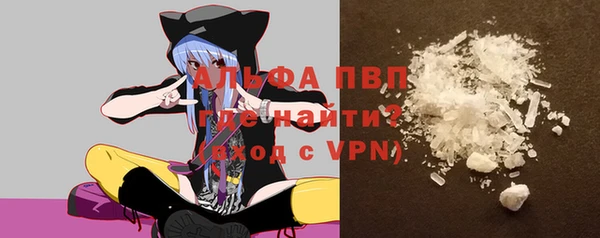 стаф Балахна