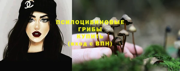 MDMA Белокуриха