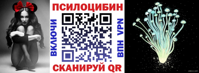 Псилоцибиновые грибы прущие грибы  Невель 