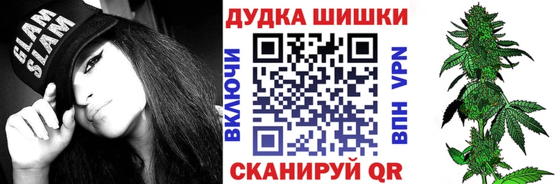 Каннабис ГИДРОПОН  магазин продажи   Невель 